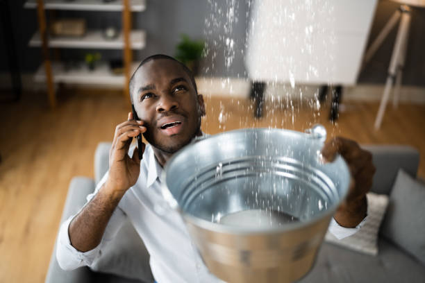 Best 24-hour water damage restoration  in Palestine, IL