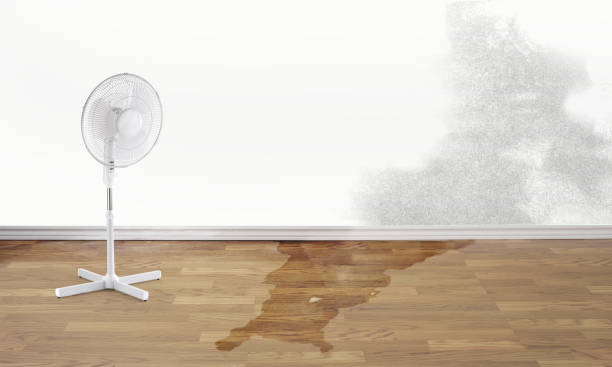  Palestine, IL Water damage restoration Pros