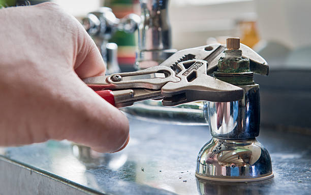 Best Sewage cleanup and water damage restoration  in Palestine, IL
