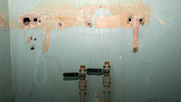 Best Fire Damage Restoration  in Palestine, IL