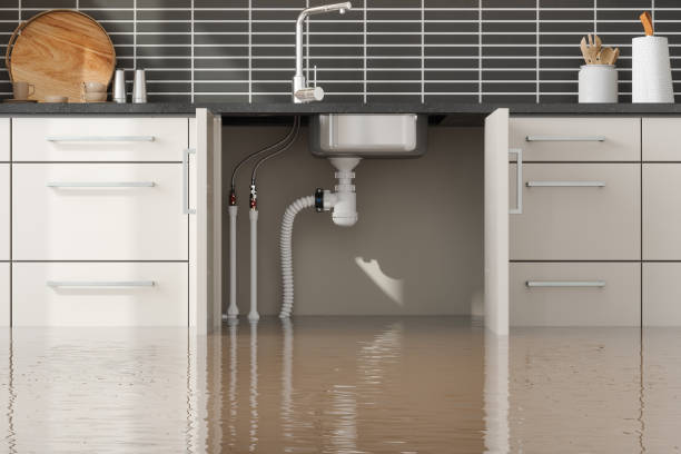 Best Flood restoration services  in Palestine, IL