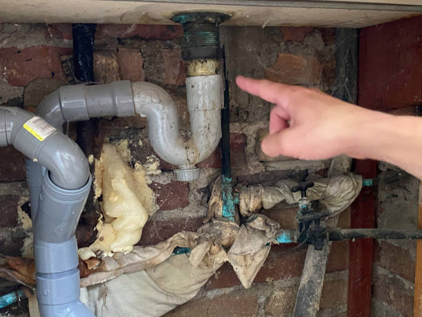 Best Flood damage cleanup  in Palestine, IL