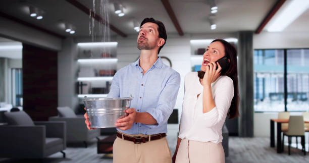 Best Professional water damage repair  in Palestine, IL