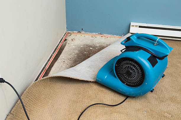 Best Residential water damage restoration  in Palestine, IL